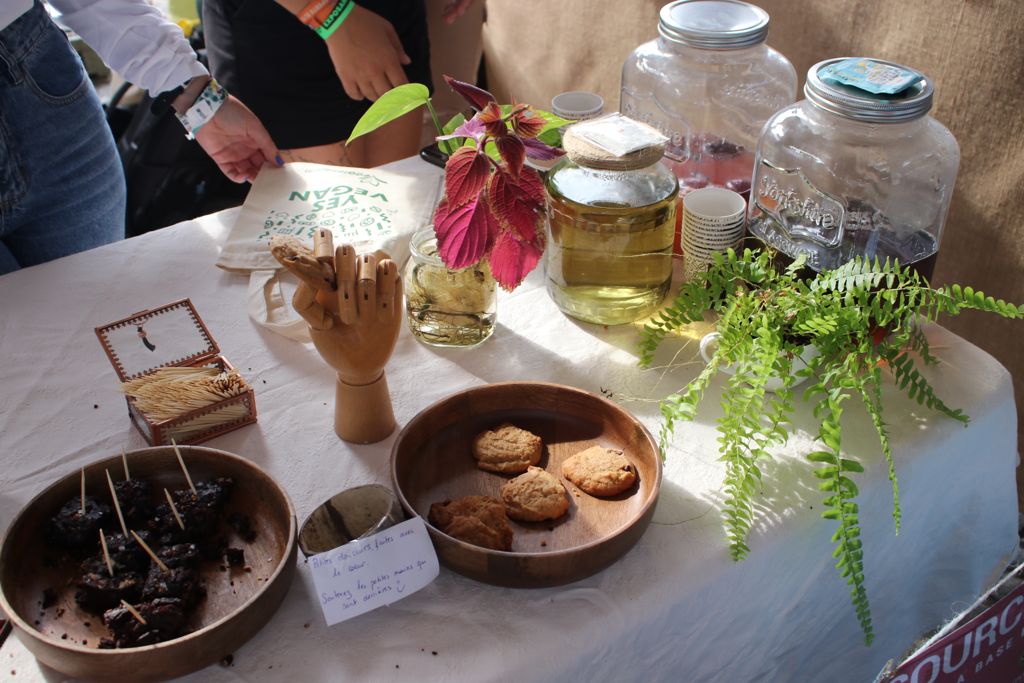 Stand sur l’alimentation vegan au Smmmile festival