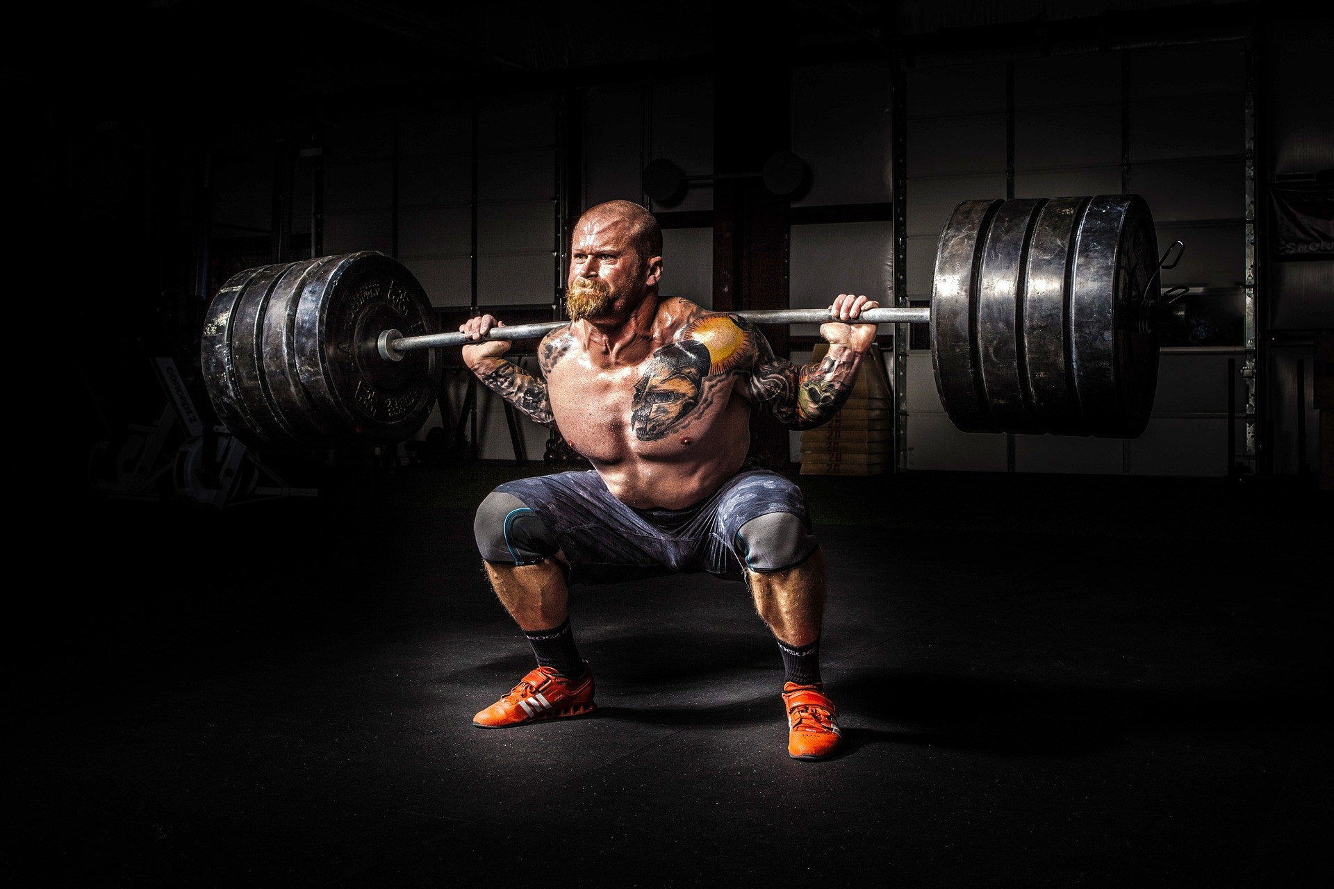 Impact de l’alimentation sur la régénération musculaire.